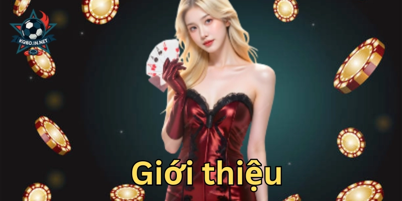 Chương trình ưu đãi hấp dẫn